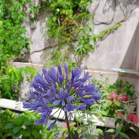 Udobna Soba Za Dvoje 3* Hvar Town