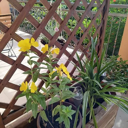 ゲストハウス Udobna Soba Za Dvoje 3*