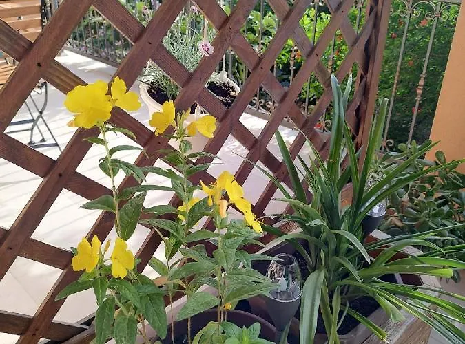 Casa de hóspedes Udobna Soba Za Dvoje 3*